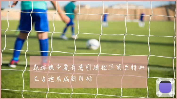 森林狼今夏有意引进控卫莫兰特加兰吉迪或成新目标