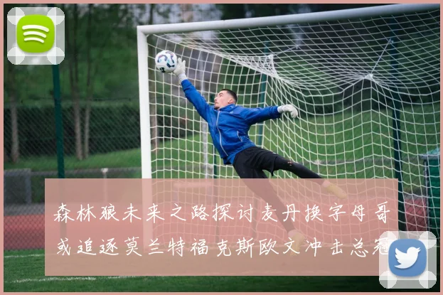 森林狼未来之路探讨麦丹换字母哥或追逐莫兰特福克斯欧文冲击总冠军