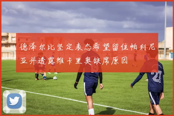 德泽尔比坚定表态希望留住帕利尼亚并透露维卡里奥缺席原因