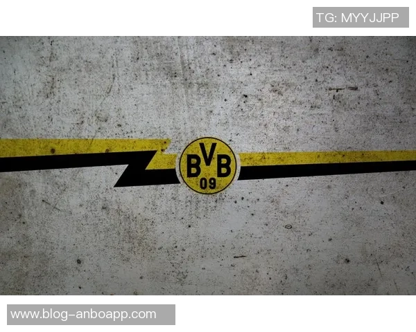 多特蒙德俱乐部将召开会员大会投票决定新队徽设计方案